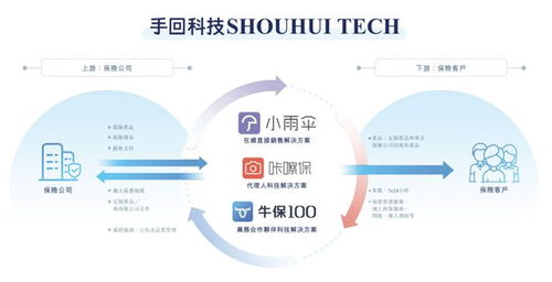 多重困境下的突圍 一家業(yè)務(wù)單一、屢遭波折的保險(xiǎn)科技中介，能否叩開(kāi)IPO之門？